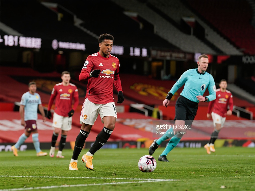 许多玩家的 许多玩家的