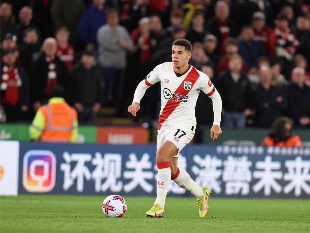 择合适的画 择合适的画